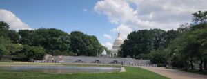 MNA Capitol 2