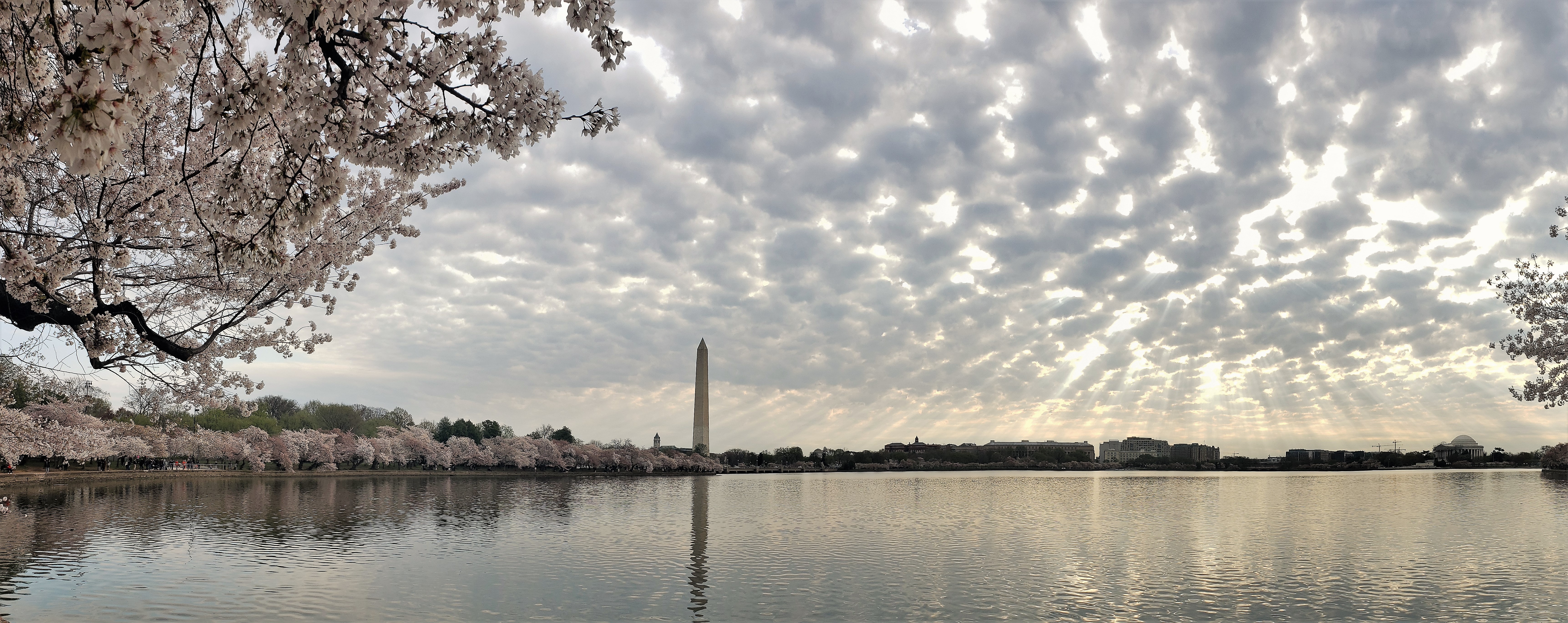 MNA Washington M 6