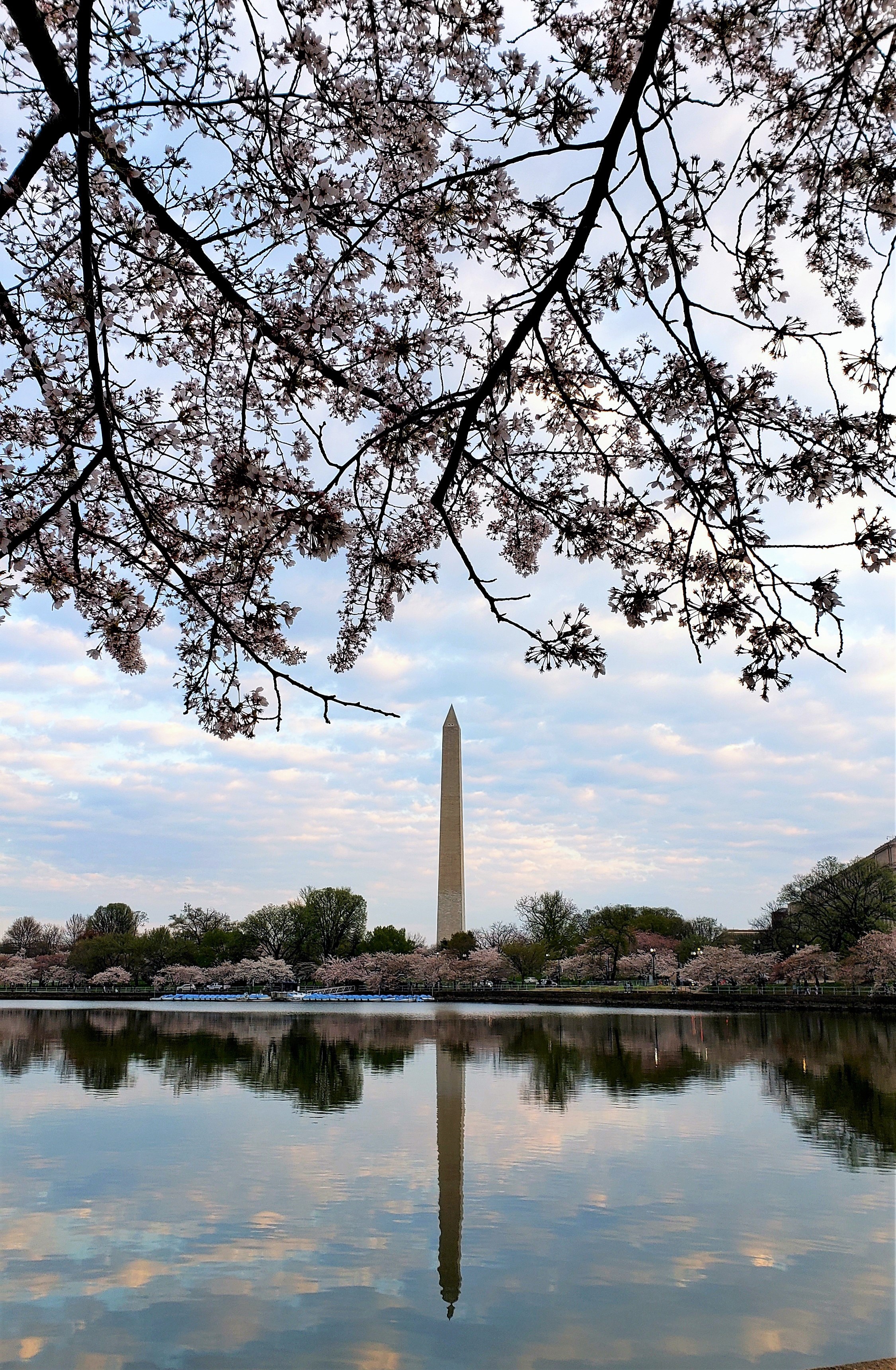 MNA Washington Monument Vertical