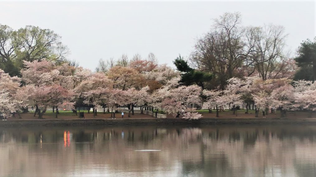 RNAtidalbasin2
