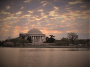 rna jefferson cherry blossoms 8